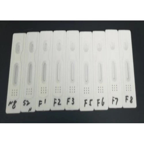 SARS-CoV-2（COVID-19）IgM / IgG抗体快速检测